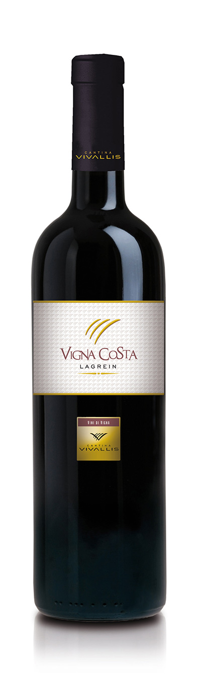 Trentino DOC Lagrein Vigna Costa